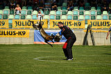 Atas of Hungarian Working Dogs