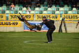 Atas of Hungarian Working Dogs