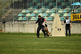 Delia Force Canina