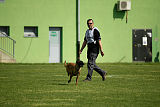 Delia Force Canina