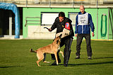 Ullhedens Yago