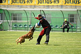 Waild Marinchuk K-9