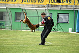 Waild Marinchuk K-9