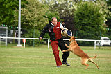 Aiven van de Twentehoeve