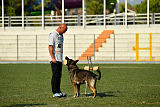 Aik vom Wolfsursprung