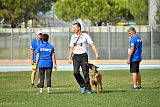 working-dog Bradana