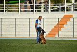Dog John's Ikai