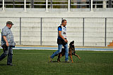 Dog John's Ikai