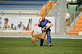 Avonwolf Al Capone Keith