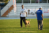 Reunion (FCI) Constantin Anoubis