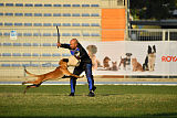 Reunion (FCI) Constantin Anoubis