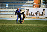 Bak Malinois of Sprajc