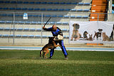 Bak Malinois of Sprajc