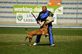 Quo Vadis Canis Bebeto