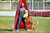 Quo Vadis Canis Bebeto