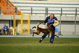 Erkan Arcanis