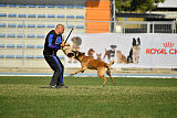 Largo Farsal