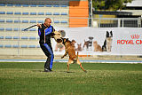 Largo Farsal