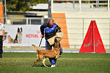 Largo Farsal