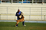 Largo Farsal