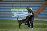Erja-Ella Marshall Dogs