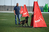 Erja-Ella Marshall Dogs