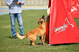 Arash Marenberska
