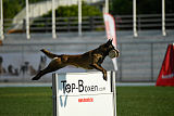 Carina Ajka Force Canina