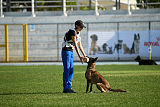 Carina Ajka Force Canina