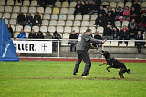 Bea vom Great Digger