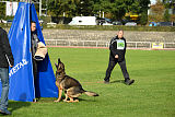 Jari vom Rothaarpark