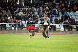 Baghira vom Wolfsstolz