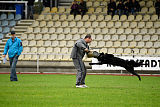 King vom Tim Thaler