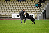 King vom Tim Thaler