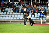 King vom Tim Thaler