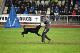 Atos vom Alpaland