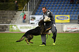 Basko von der Haugshöhe