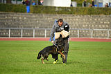 Lamar vom Wolfsheim