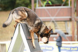 Chicco vom Weinbergblick