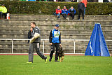 Chicco vom Weinbergblick