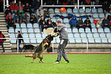 Perro von der schwarzen Natter
