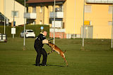 J'Lux vom Brunsbeker Land