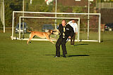 Chako vom Break Even Point