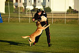 Chako vom Break Even Point