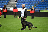 Elk von Daechsel