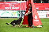 Raisers Fanto