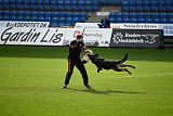 Aelec vom Kerberos