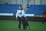 King of Asso