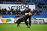 King of Asso