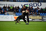 King of Asso